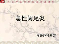 阑尾炎PPT