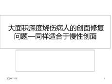 大面积烧伤深度烧伤-课件