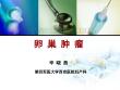 卵巢肿瘤