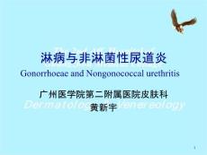 淋病与非淋菌性尿道炎课件