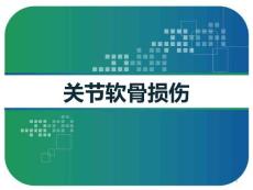 关节软骨损伤课件