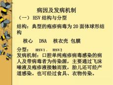 口腔单纯疱疹课件.pptx