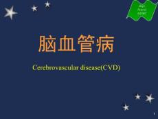 脑血管病课件