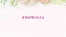 感觉障碍护理措施ppt