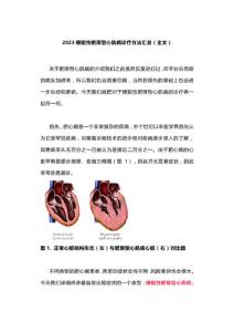 2023梗阻性肥厚型心肌病诊疗方法汇总（全文）