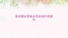 肠系膜血管缺血性疾病护理课件