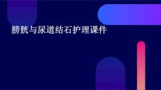 膀胱与尿道结石护理课件