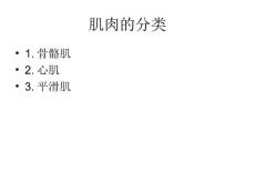 肌肉的兴奋与收缩.ppt