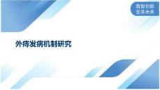 外痔发病机制研究