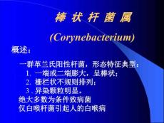 白喉杆菌课件