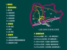 预激综合征课件.ppt