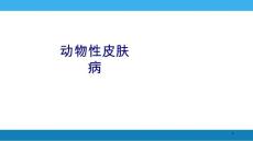 动物性皮肤病讲义课件