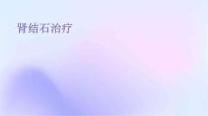 肾结石治疗