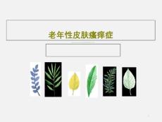 老年性皮肤瘙痒症课件