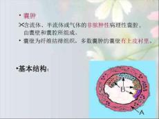第16章口腔颌面部囊肿复习进程ppt课件.ppt