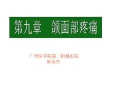 颌面、胸腹部疼痛课件