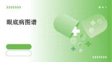 眼底病图谱