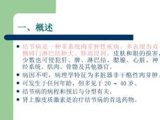 结节病.ppt