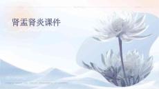 肾盂肾炎课件