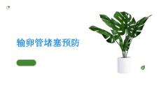 输卵管堵塞预防输卵管堵塞从调理身体开始