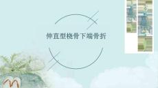 伸直型桡骨下端骨折