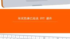 坏死性淋巴结炎 PPT课件