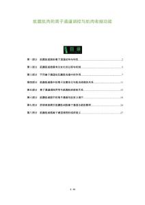 肌腹肌肉的离子通道调控与肌肉收缩功能