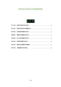 桡神经沟损伤后功能重建策略