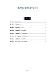 小脑扁桃体在抑郁症中的作用