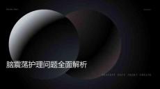 脑震荡护理问题ppt