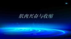 《肌肉兴奋与收缩》课件
