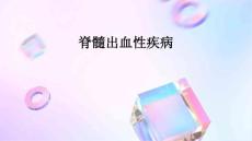 脊髓出血性疾病
