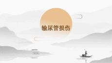 输尿管损伤