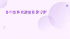 鼻和副鼻窦肿瘤影像诊断完整