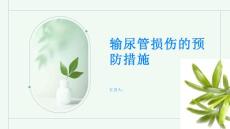 输尿管损伤输尿管损伤的预防措施