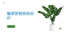 输尿管损伤输尿管损伤如何治疗了解一下