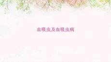 血吸虫及血吸虫病优品资料ppt