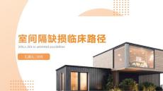 室间隔缺损临床路径