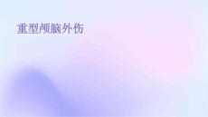 重型颅脑外伤