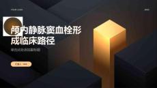 颅内静脉窦血栓形成临床路径