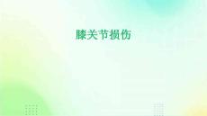 膝关节损伤