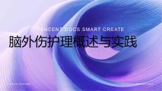 脑外伤护理ppt