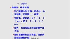 伤寒与副伤寒.pptx