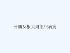 牙髓及根尖周组织病病