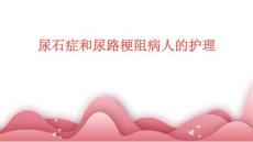 尿石症和尿路梗阻病人的护理