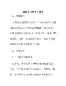 攀巖項目商業(yè)計劃書