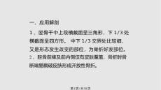 胫腓骨干骨折红软基地.pptx