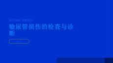 健康指南输尿管损伤输尿管损伤的检查与诊断PPT