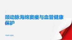 健康指南关注颈动脉海绵窦瘘保护血管健康PPT