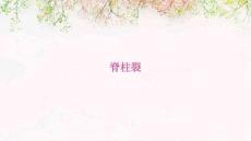脊柱裂